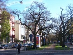 Das Malerviertel