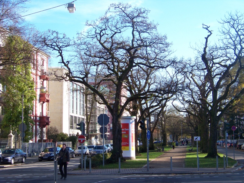 Otto-Hahn-Platz